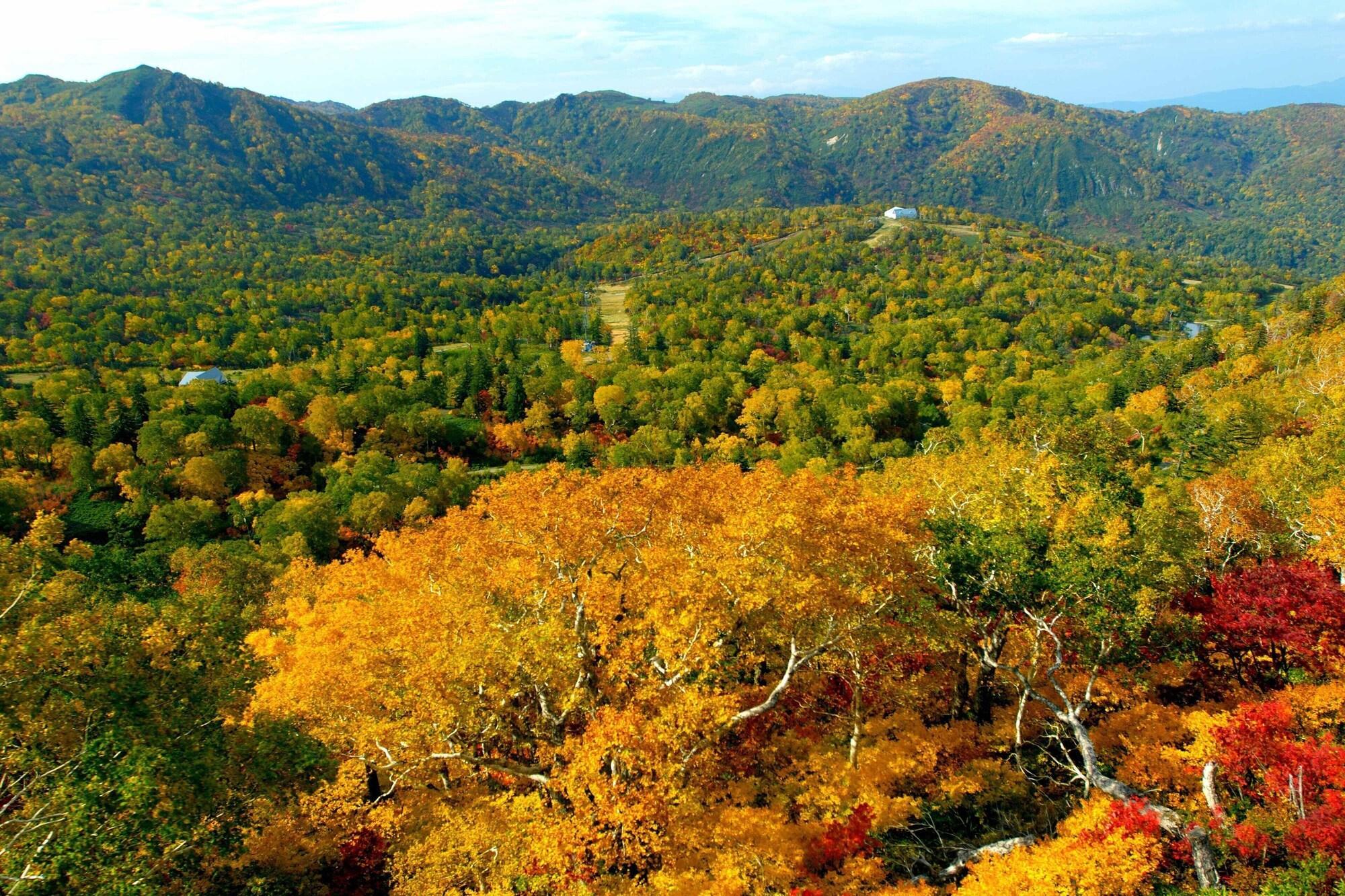 喜来登北海道喜乐乐度假村 赤井川 外观 照片